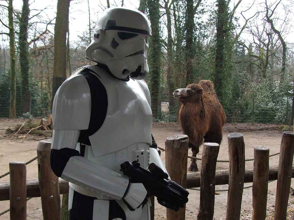 „Möge die Macht mit dir sein“ - Star Wars-Universum im Zoo (Foto: Zoo Dortmund)
