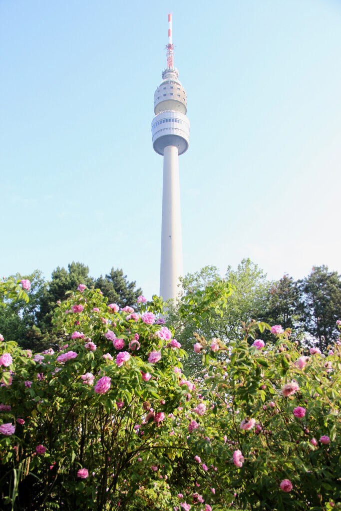 Florianturm im Westfalenpark, Foto: Thimo Mallon